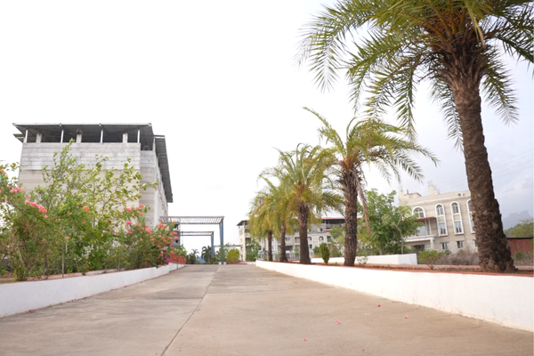 amcr web images (13)